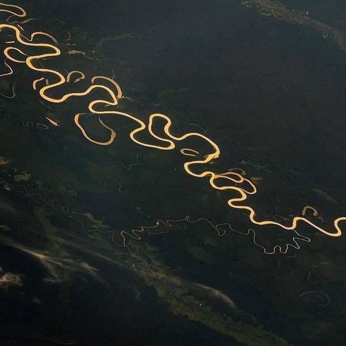 amazonas