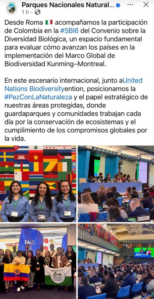 representacion parques iternacionalmente