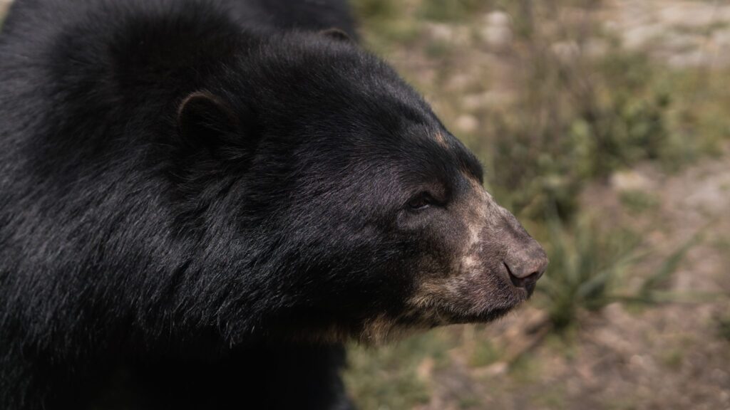 Ecoturismo 3 danilo arenas pnn chingaza osodsc04280 2 2048x1152